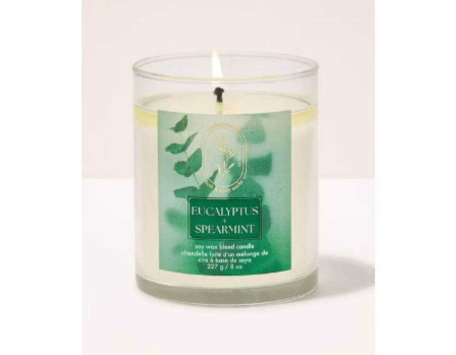 Compare Bath and Body Works Candles Prices in UAE - 2026 view 11