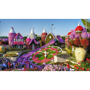 Dubai Miracle Garden